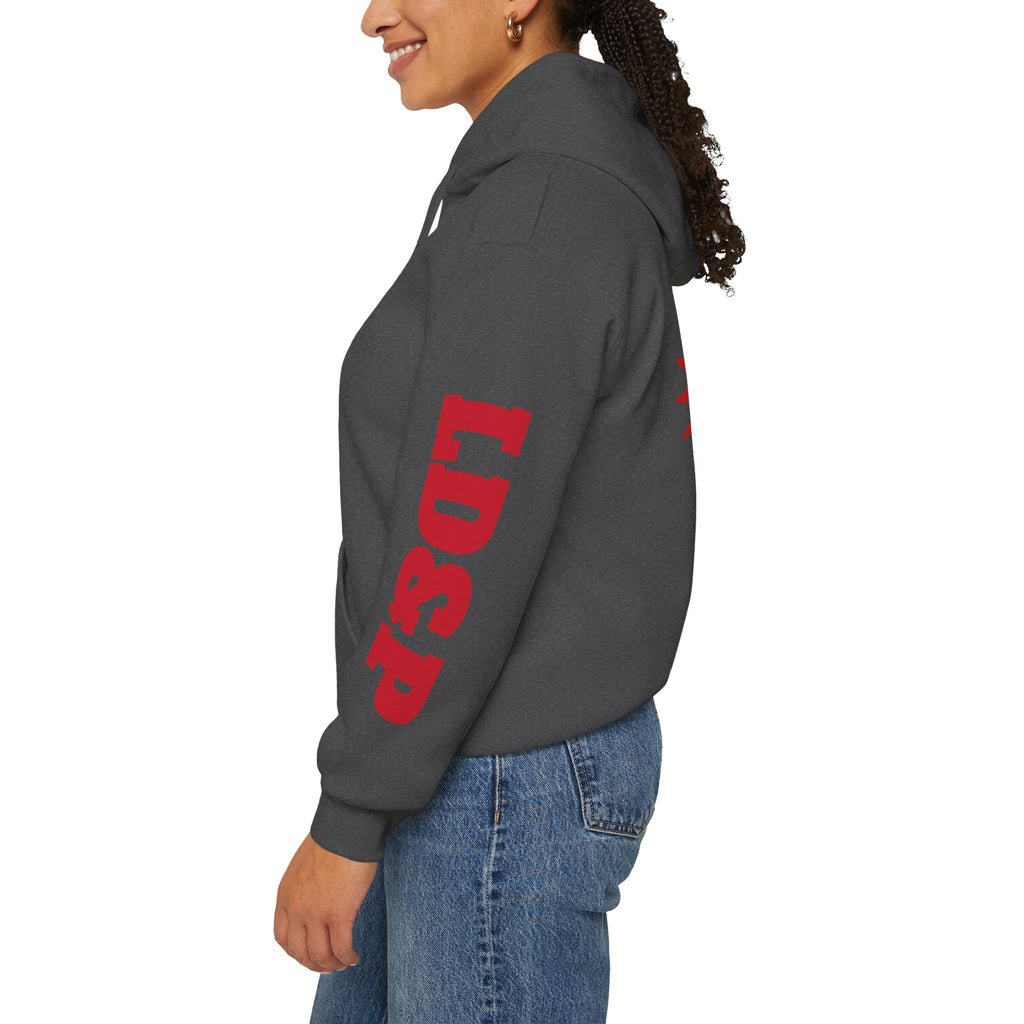 Hooded Sweatshirt LD&P Apparel Design