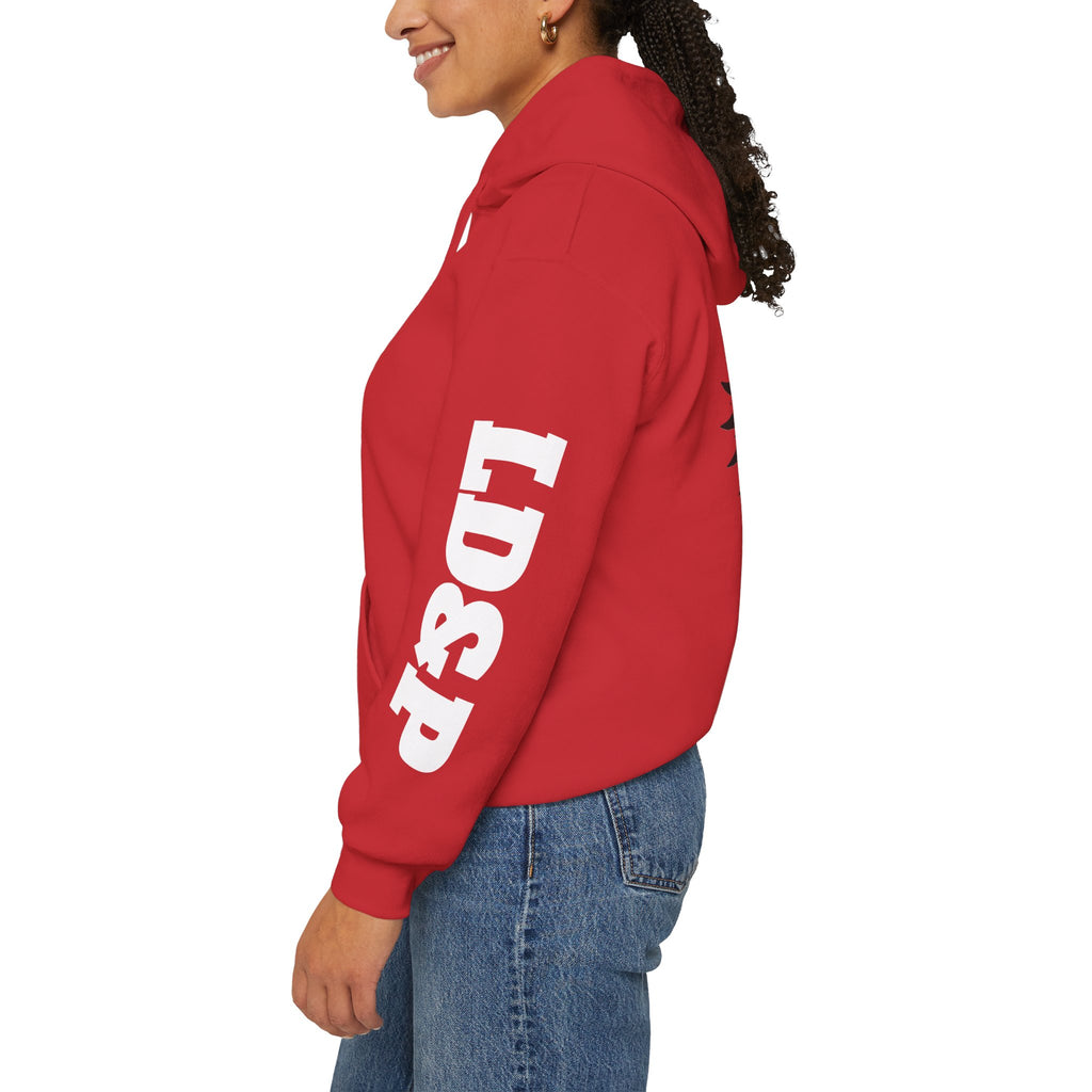 Hooded Sweatshirt LD&P Apparel Design
