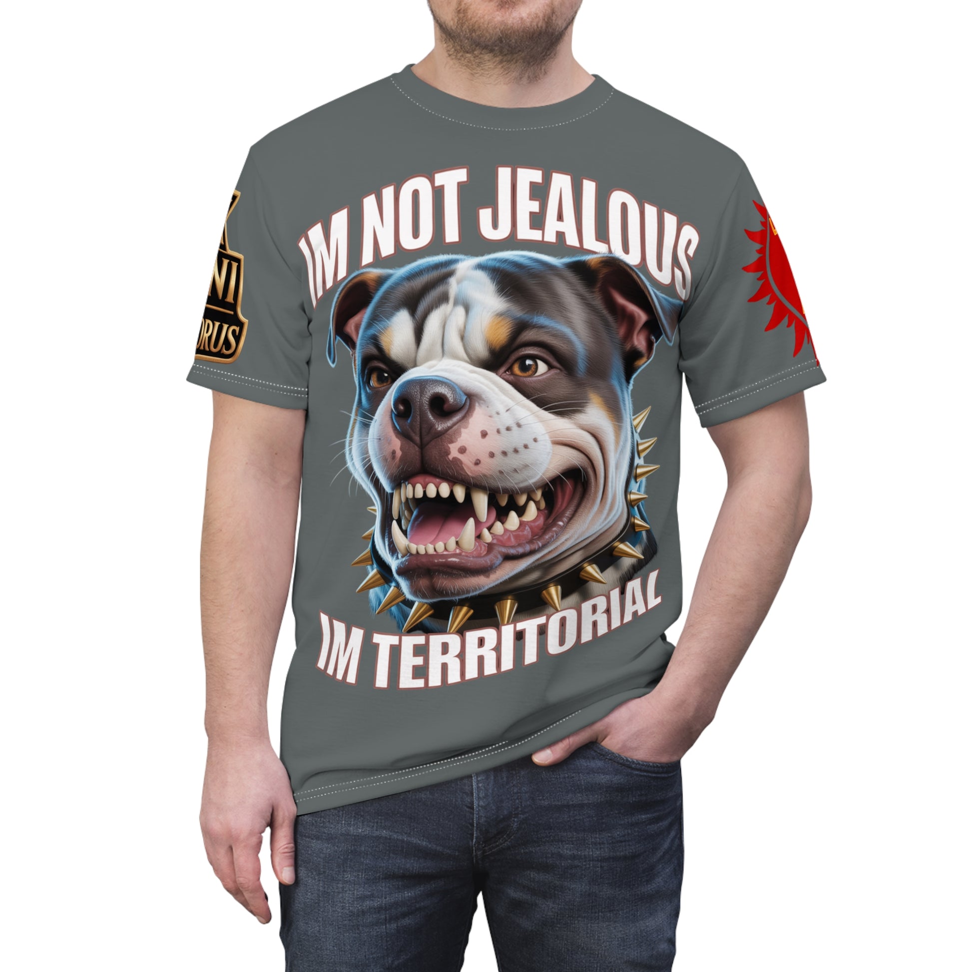 'Im not jealous' Unisex Cut & Sew Tee Grey