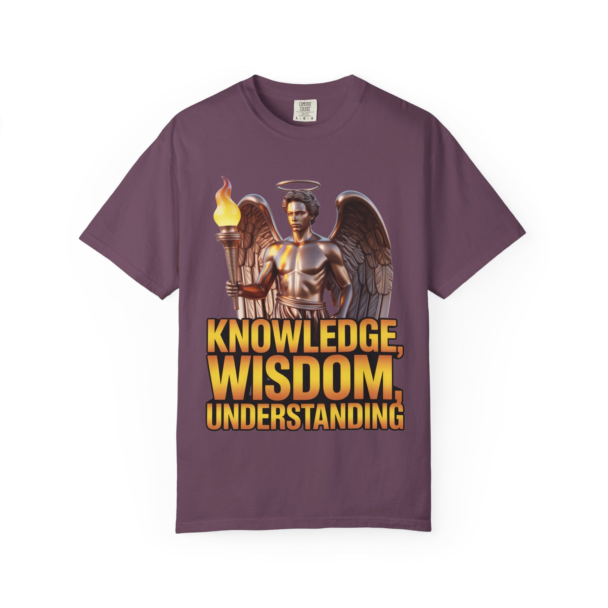 Knowledge wisdom and understanding T-Shirt