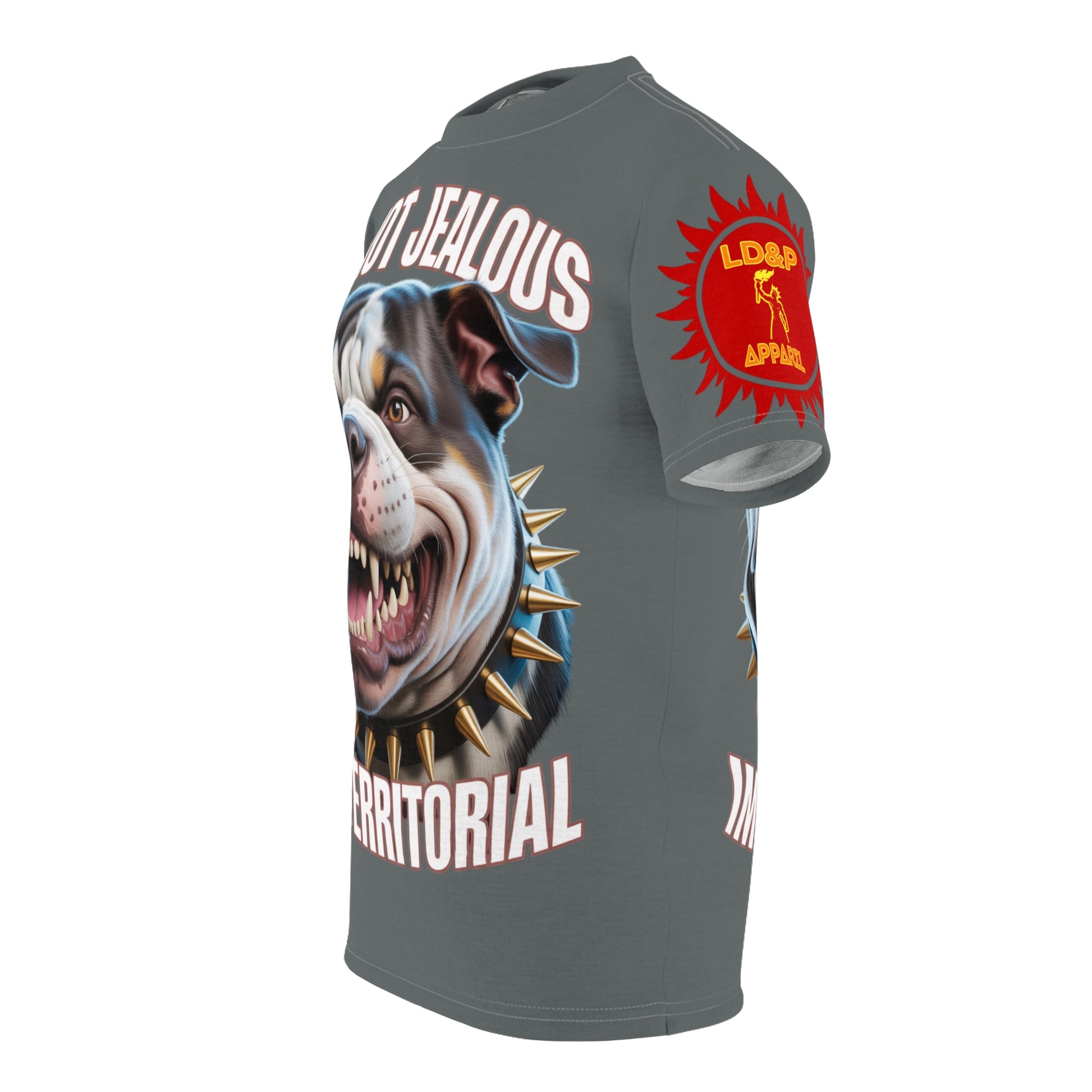 'Im not jealous' Unisex Cut & Sew Tee Grey