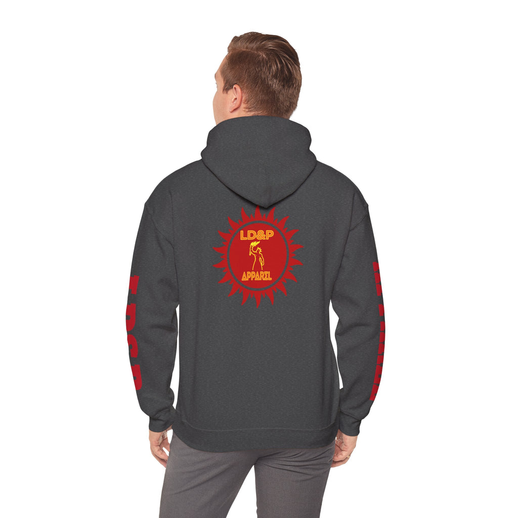 Hooded Sweatshirt LD&P Apparel Design