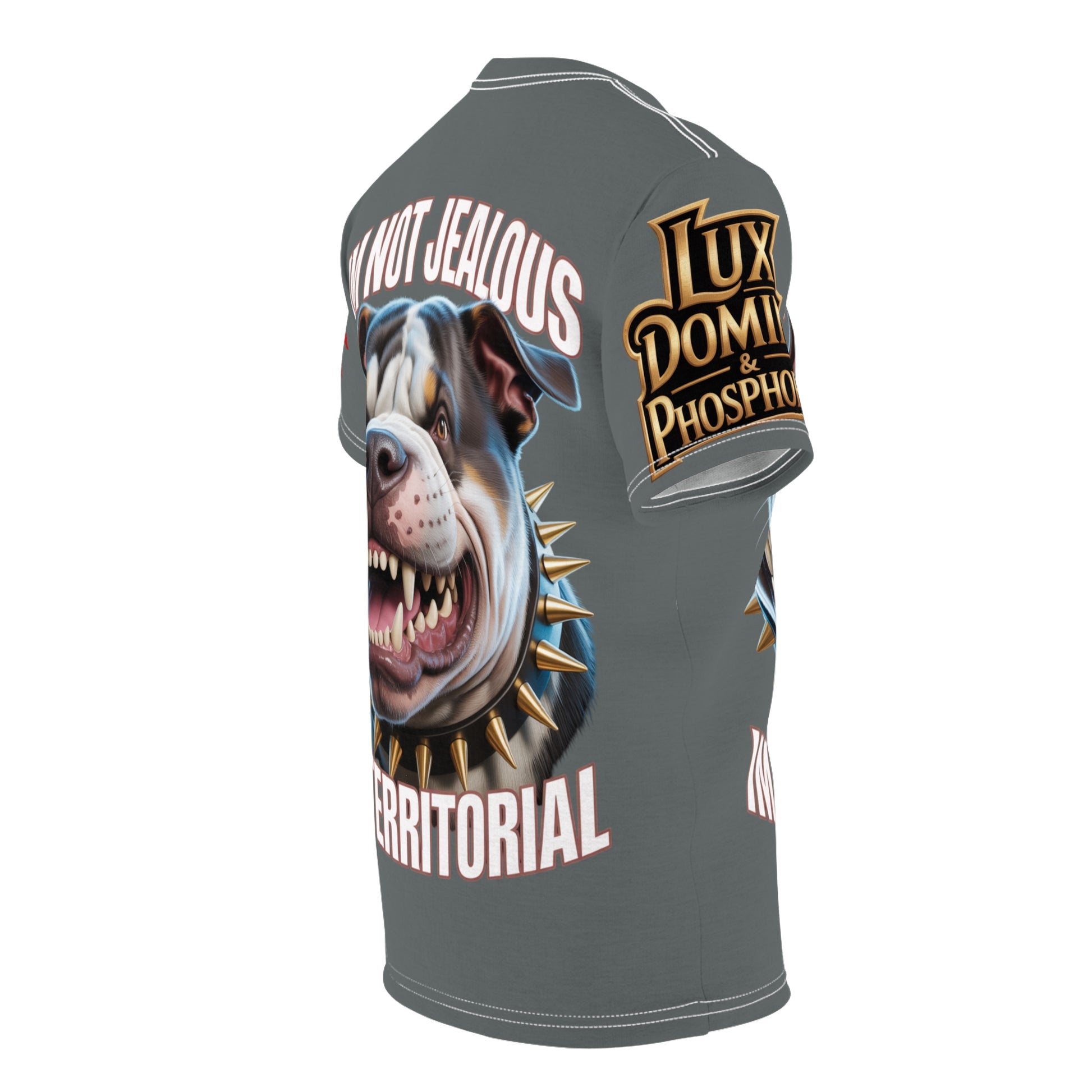 'Im not jealous' Unisex Cut & Sew Tee Grey