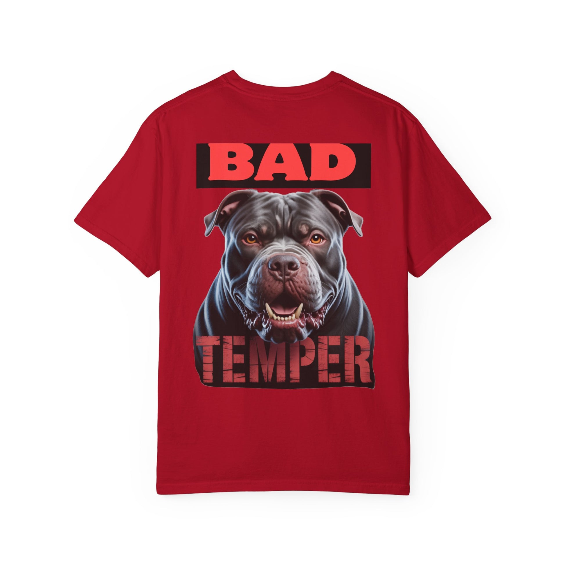 Bad Temper Garment-Dyed T-shirt
