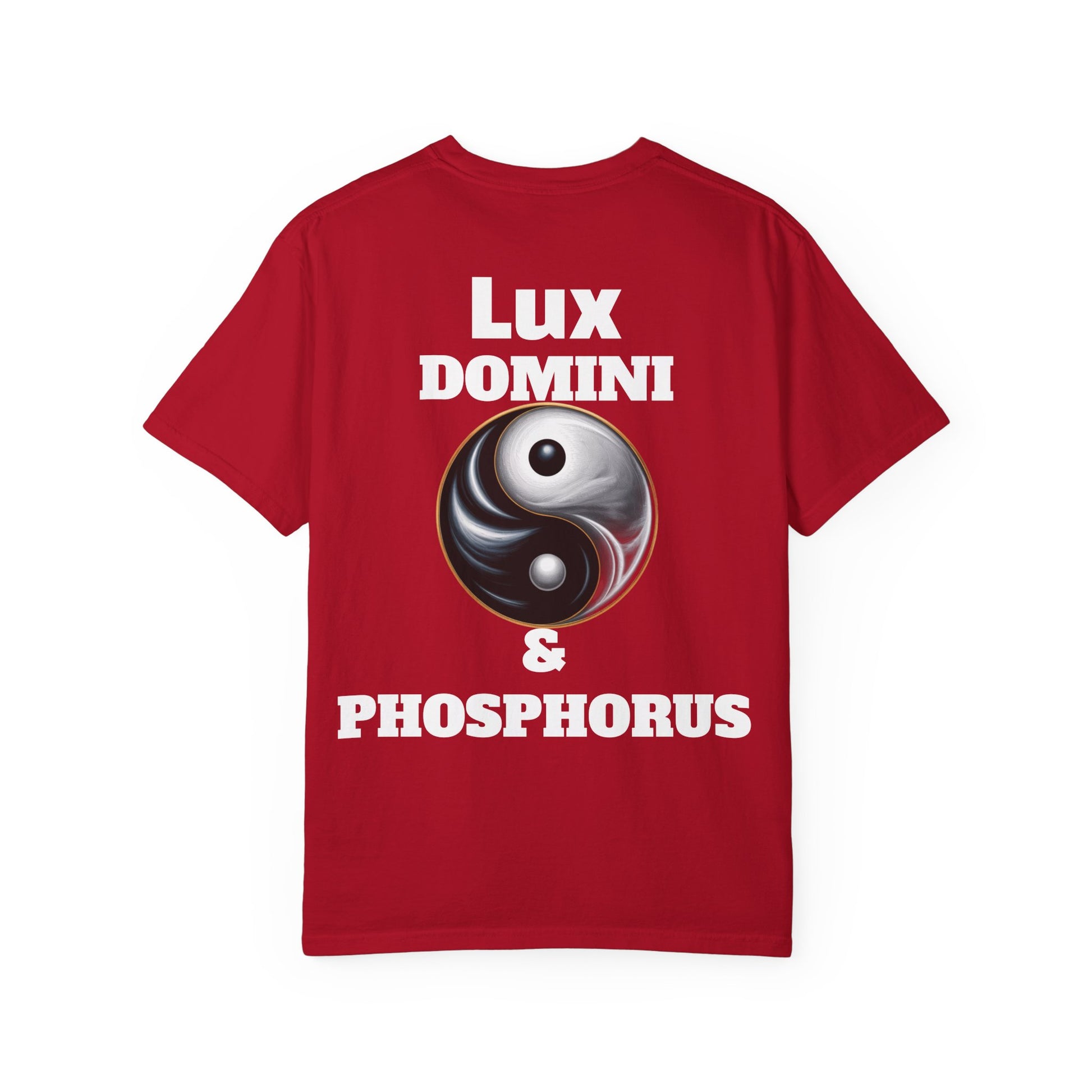 Unisex Garment-Dyed T-shirt - Spiritual Ascension LD&P Apparel Design