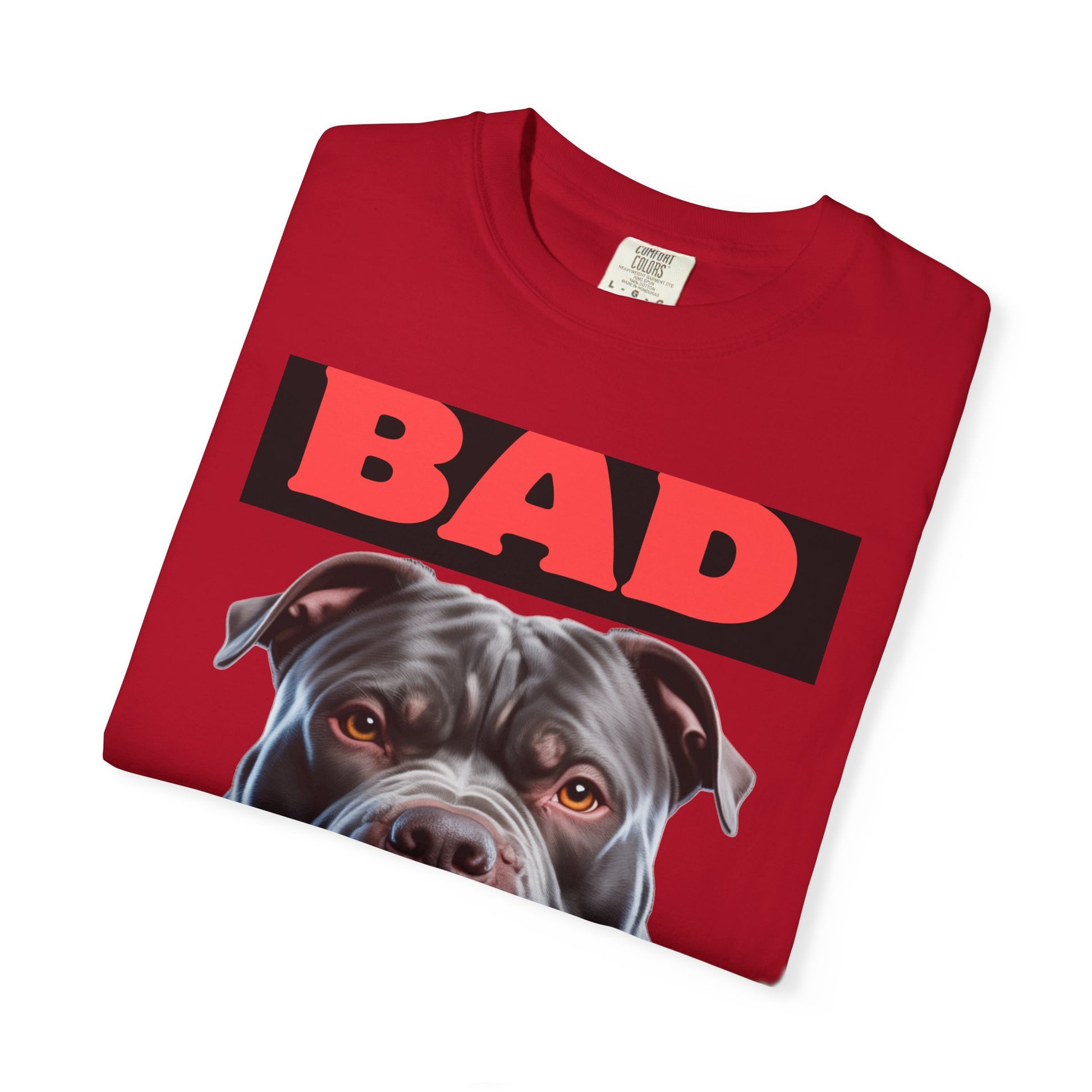 Bad Temper Garment-Dyed T-shirt