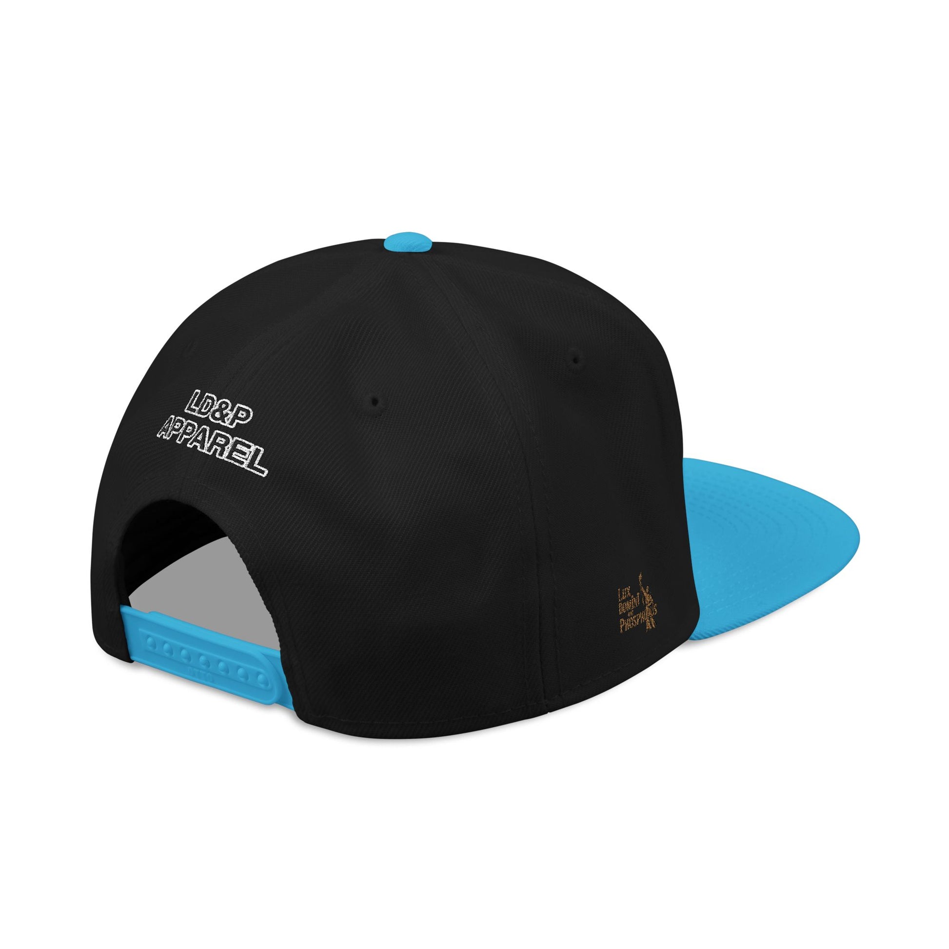 Embroidered Snapback Cap - LD&P Apparel Design 2