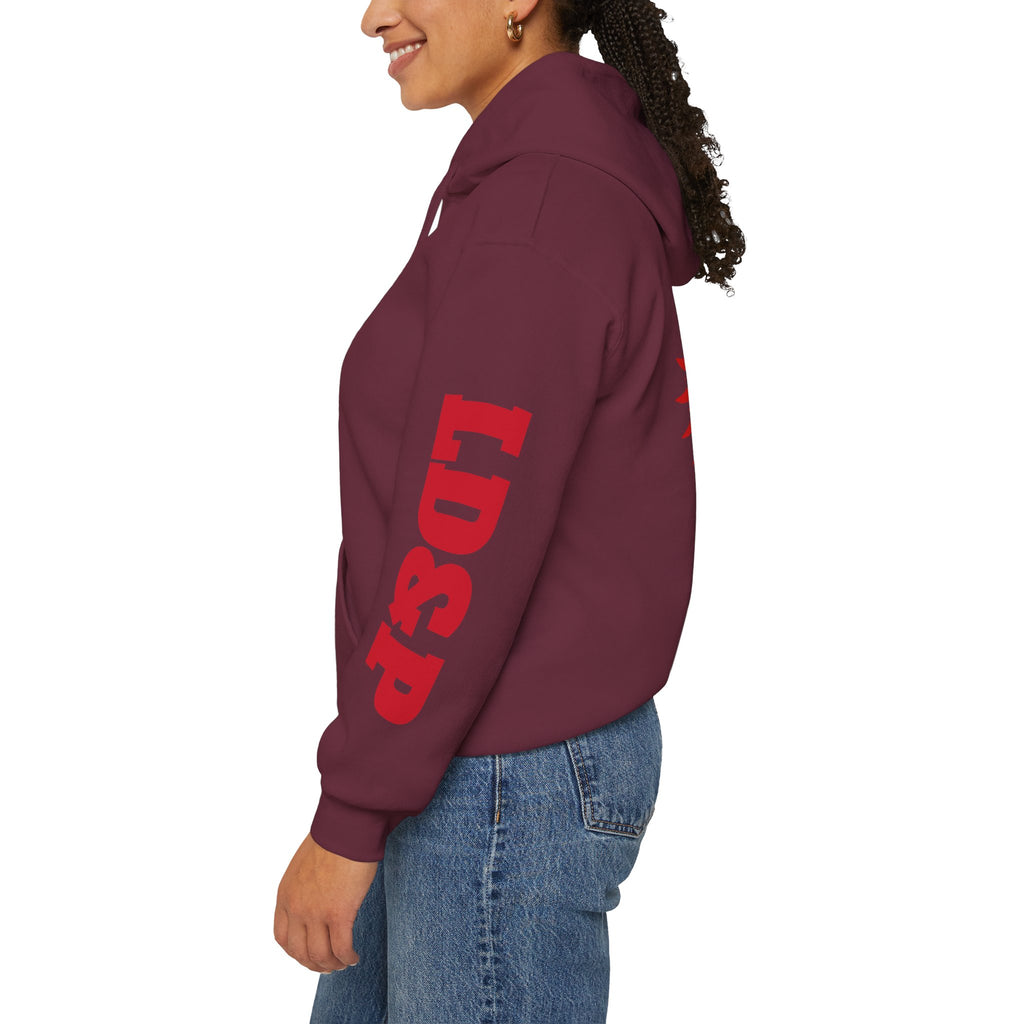 Hooded Sweatshirt LD&P Apparel Design