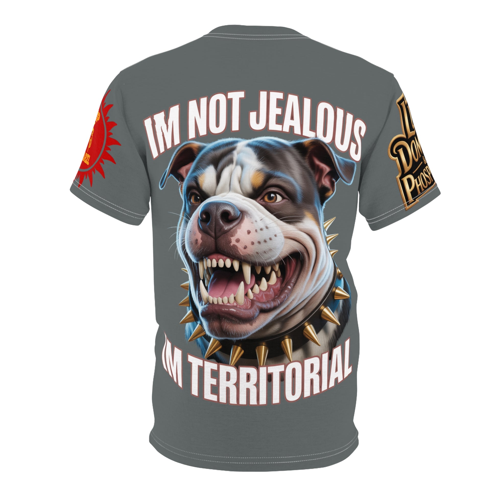 'Im not jealous' Unisex Cut & Sew Tee Grey