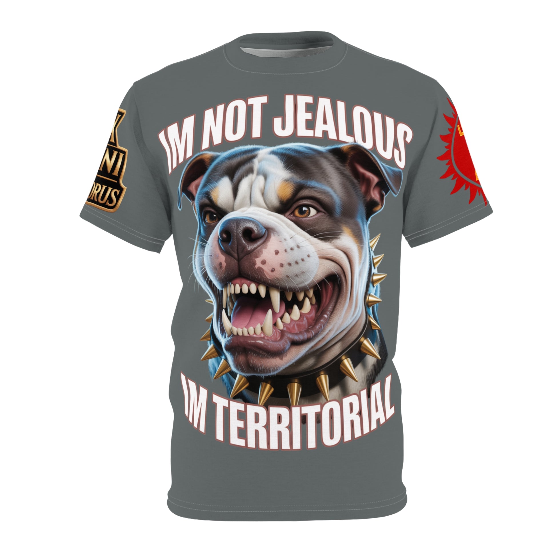 'Im not jealous' Unisex Cut & Sew Tee Grey