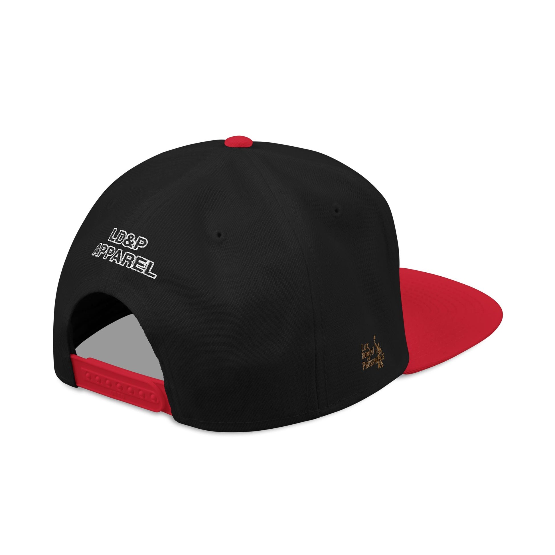 Embroidered Snapback Cap - LD&P Apparel Design 2