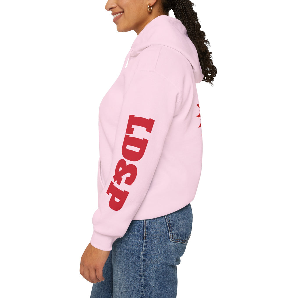 Hooded Sweatshirt LD&P Apparel Design