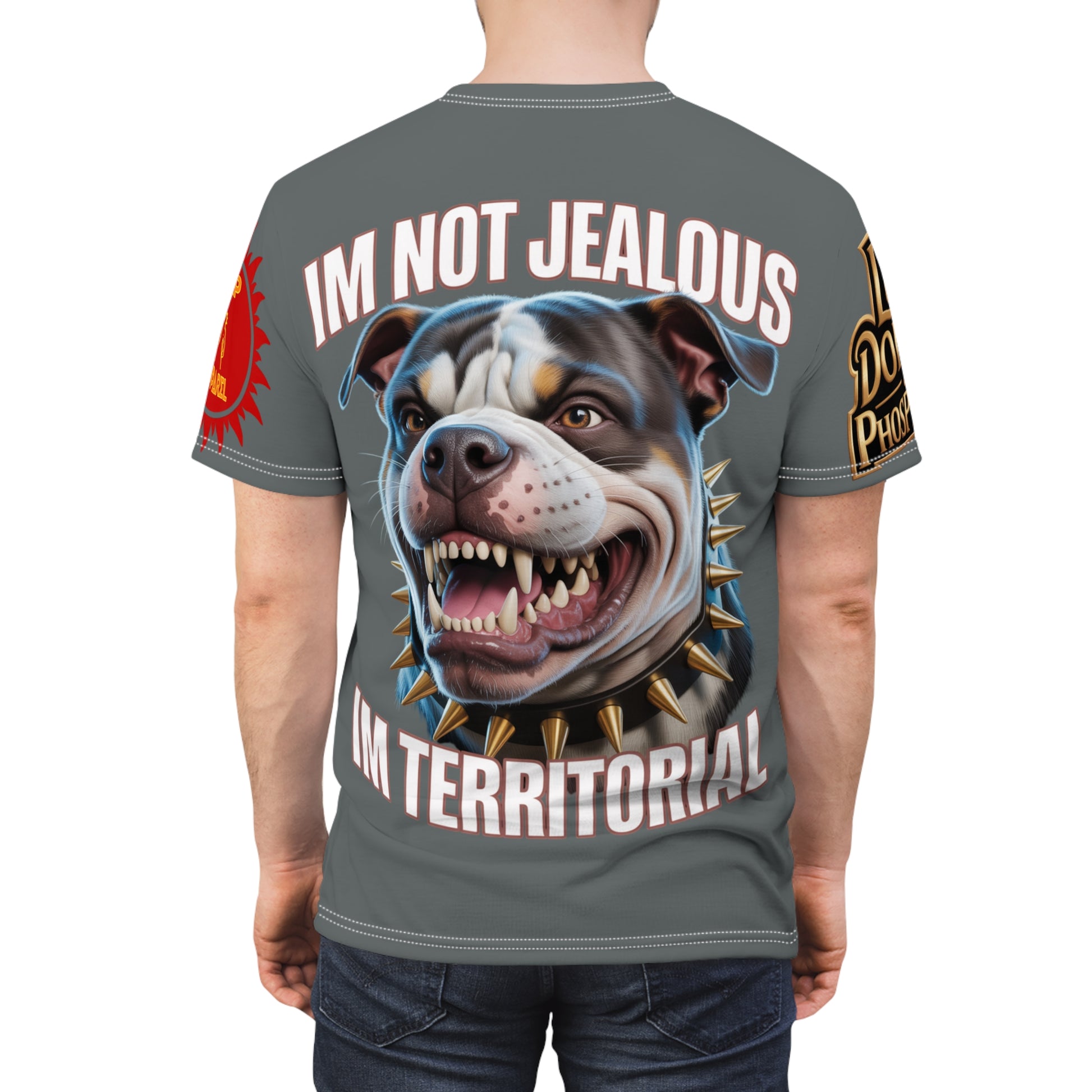 'Im not jealous' Unisex Cut & Sew Tee Grey