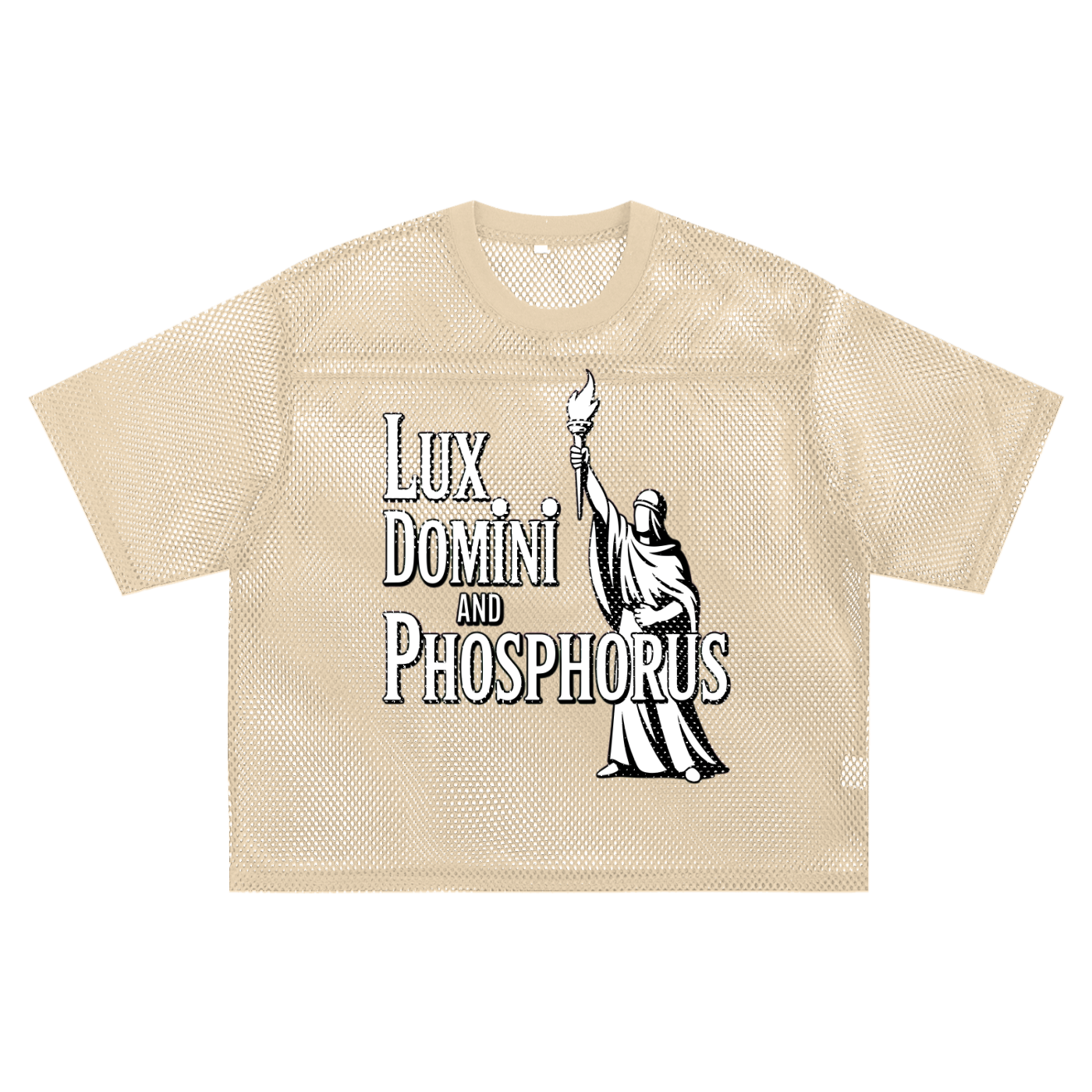See-through Boxy Net  LD&P APPAREL  T-Shirt